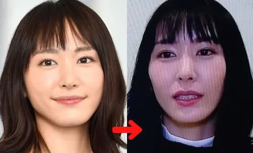 新垣結衣の顔の変化